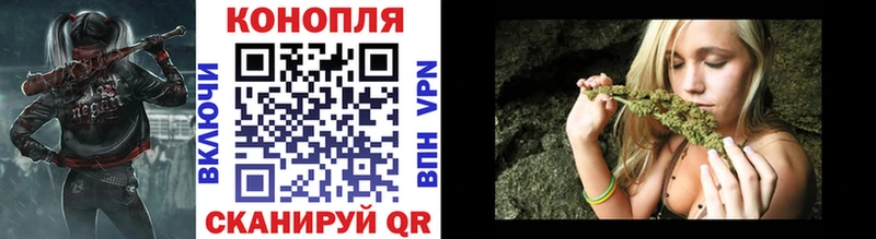 Шишки марихуана марихуана Лесозаводск